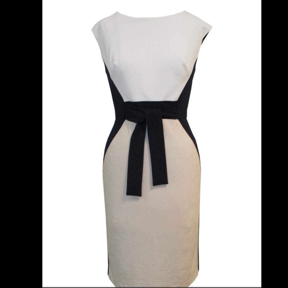 Sandra Darren Cap Sleeve Crepe Colorblock Dress